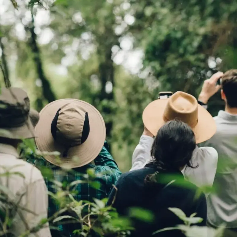 4-Day Safari & Chimps