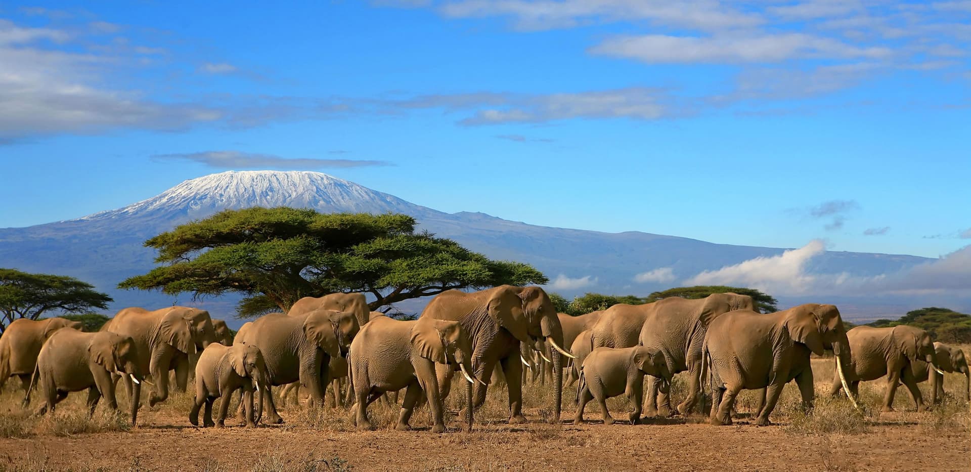 Planning Your Kilimanjaro Climb? Here's Your Complete Route Guide with mt Kilimanjaro Maps