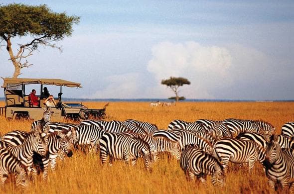 Explore Ngorongoro Crater