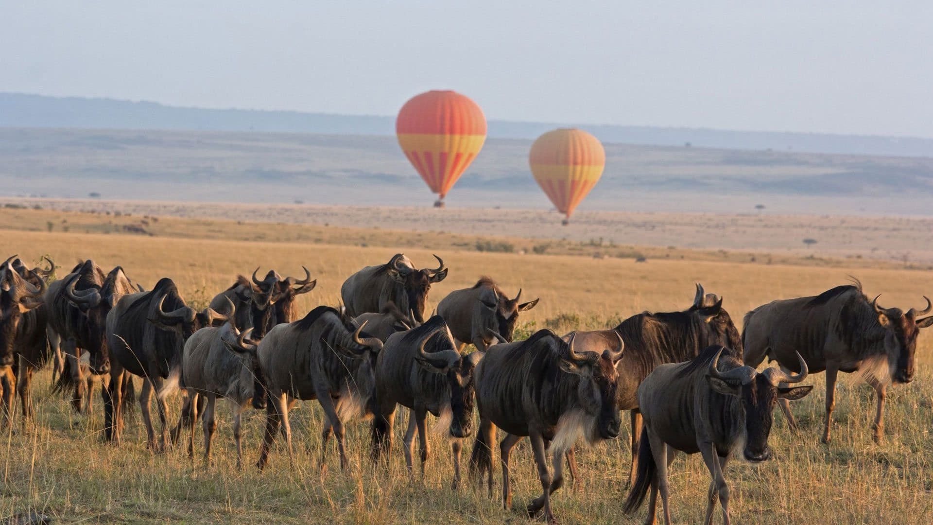 Serengeti National Park Overview