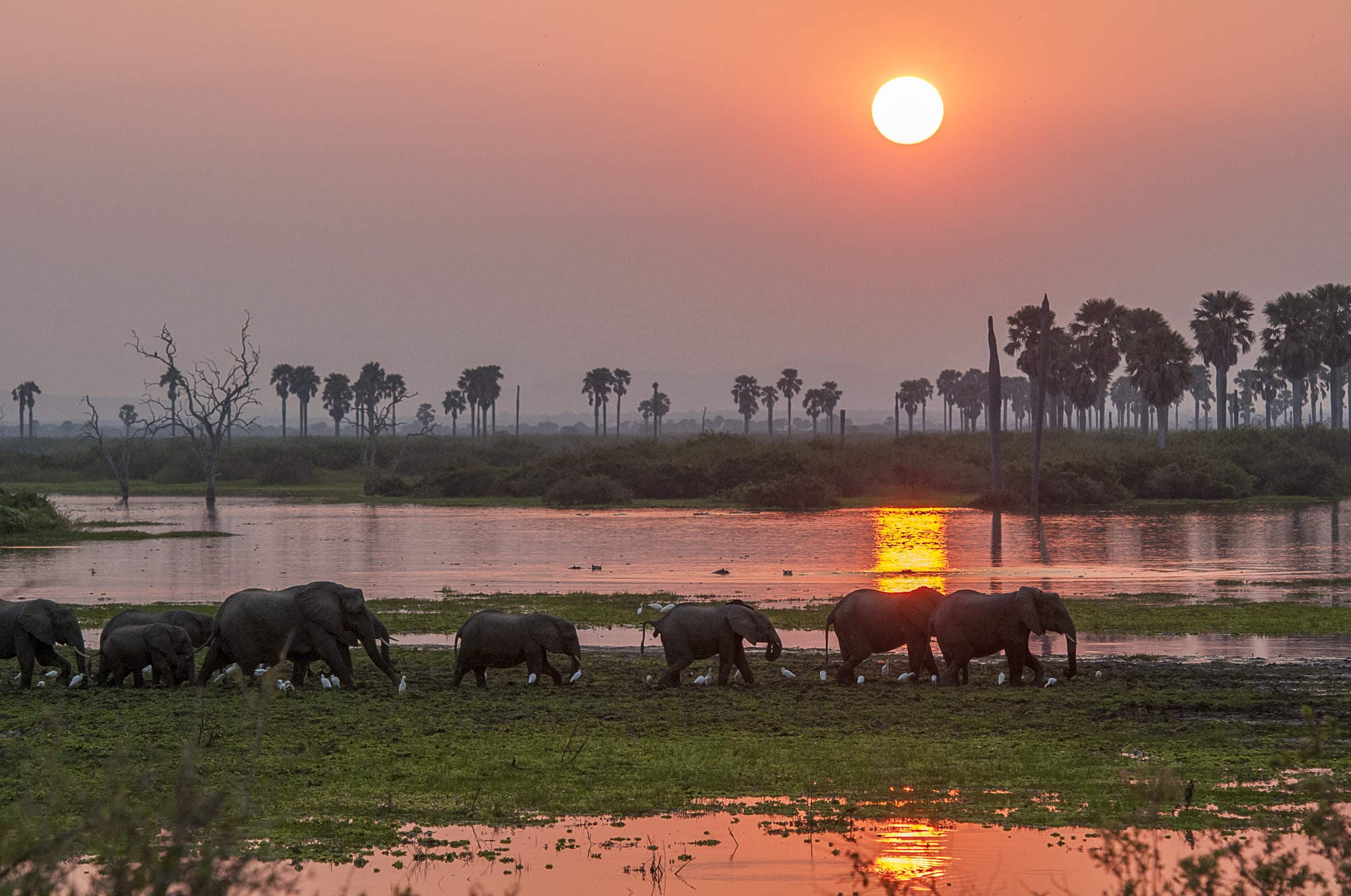 Nyerere National Park Overview